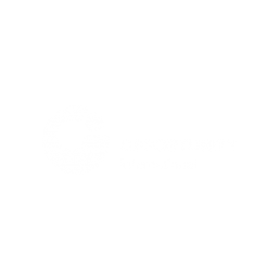 OPPORTUNITY INTERNATIONAL MOZAMBIQUE