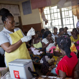 communication immunisation campaigns